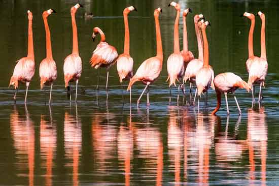 circuit cuba en famille