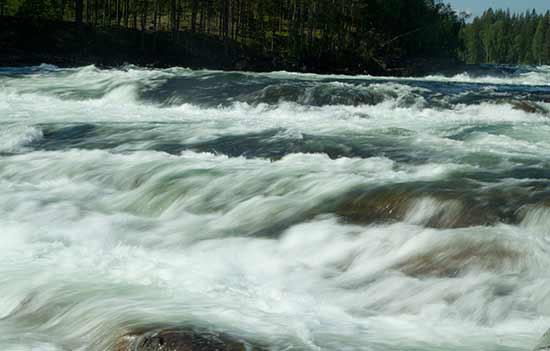 circuit-suede-cascade