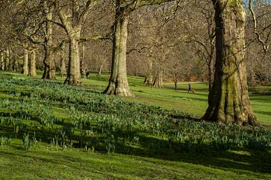 activité gratuite londres activité gratuite londres