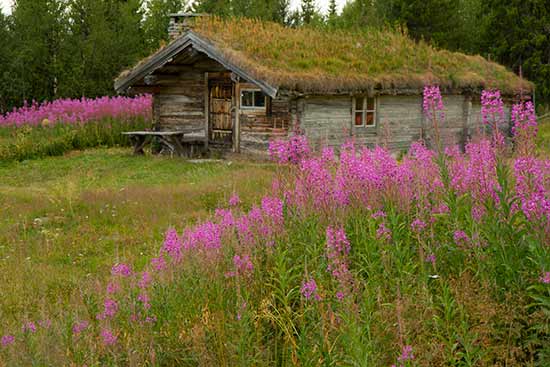 randonnée-en-suede-nord