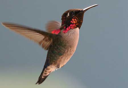 vacances-cuba-en-famille