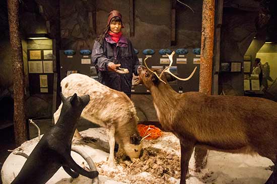 que faire suede en famille