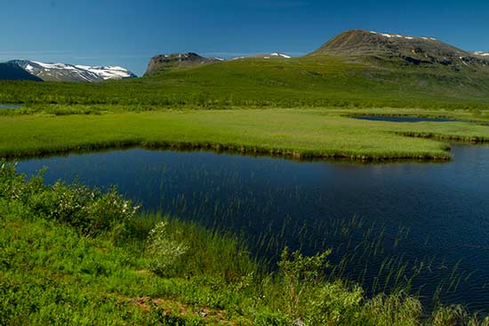 vacances-en-suede-en-famille