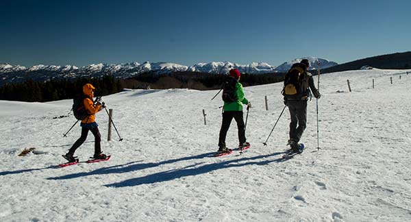 randonnée-raquette-vercors-sud-font-urle
