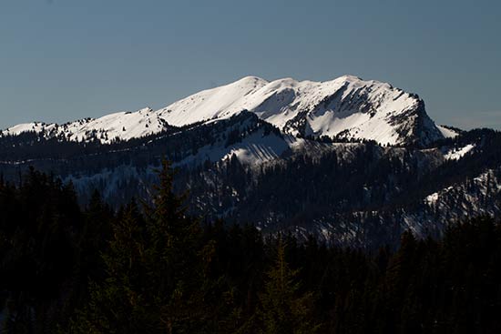 rando-raquette-chartreuse-grande-sure