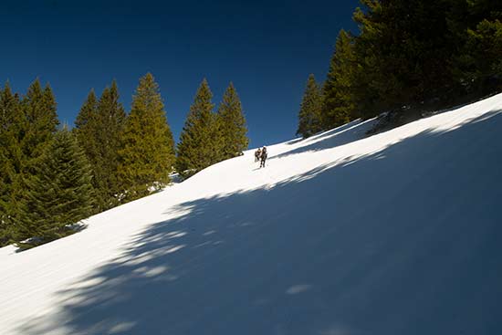 rando-raquette-chartreuse