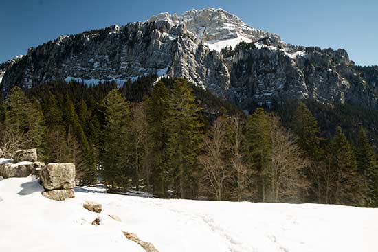 randonnée-raquette-chartreuse-grand-som
