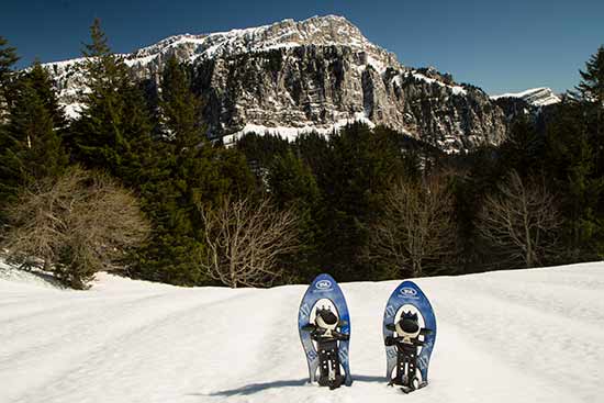 randonnée-raquette-chartreuse