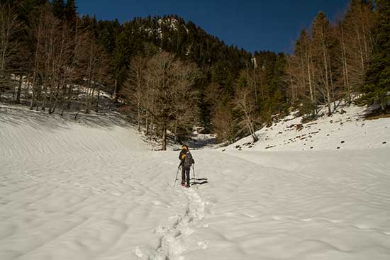 raquette-en-chartreuse