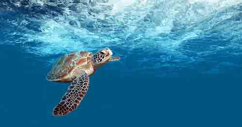 visiter yucatan en famille