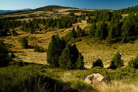 circuit-en-midi-pyrenees