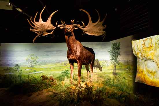 itinéraire en-midi-pyrénées.jpg