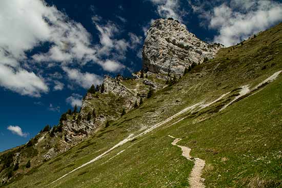 lances-de-malissard-chartreuse