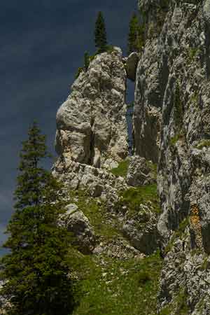 le-petit-som-chartreuse