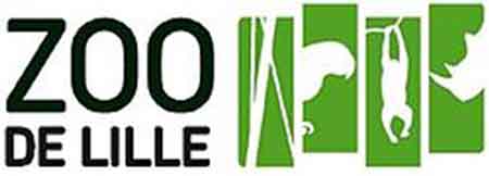 activite-enfant-lille