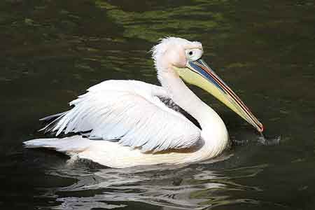 activite-familiale-lille