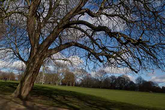 londres avec enfants