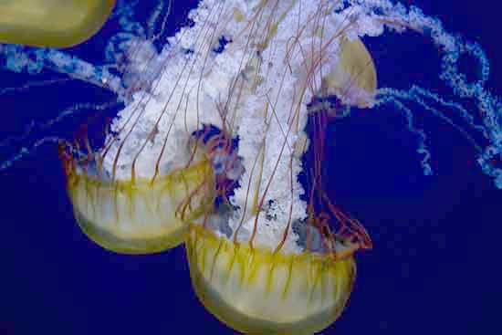 londres-pour-les-enfants