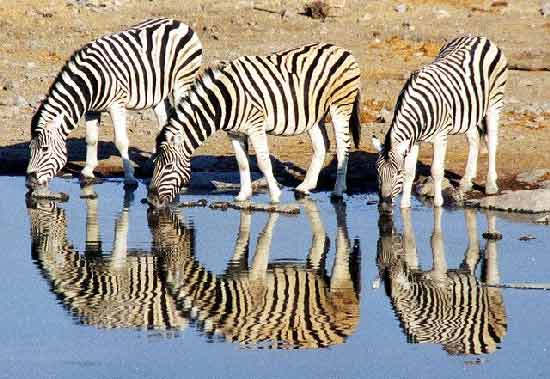 vacances-aventure-en-famille-avec-enfants