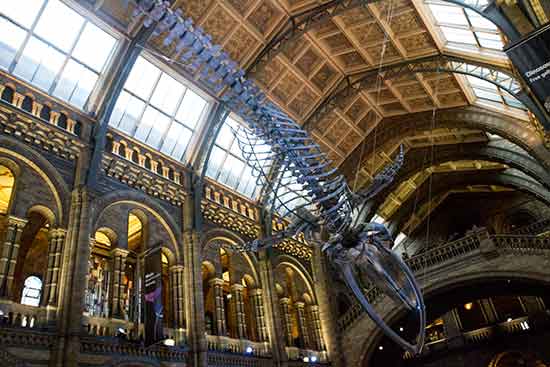 voyage à londres en famille