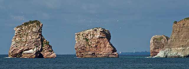 que-faire-a-biarritz-en-famille-balade