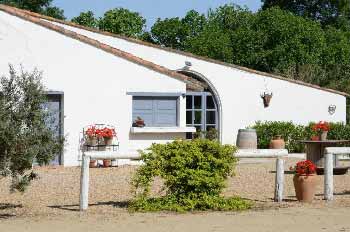 manade-famille-camargue