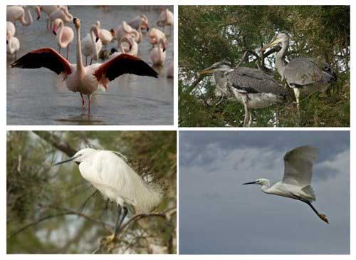vacances-famille-provence