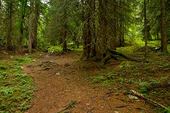 vers-refuge-tre-la-tete