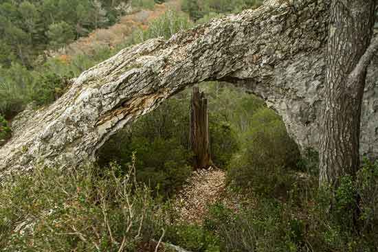 week-end-famille-provence-alpilles