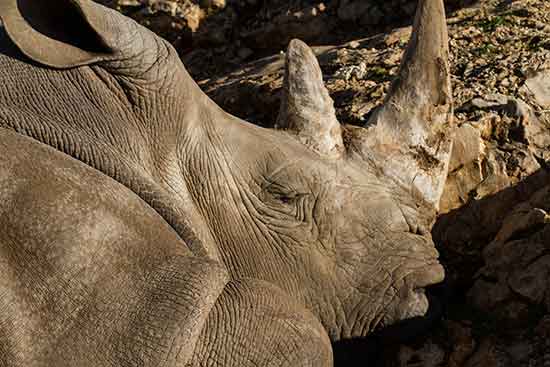 week-end-famille-provence zoo