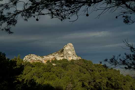 week-end-provence-avec-enfants-mont-gaussier-alpilles
