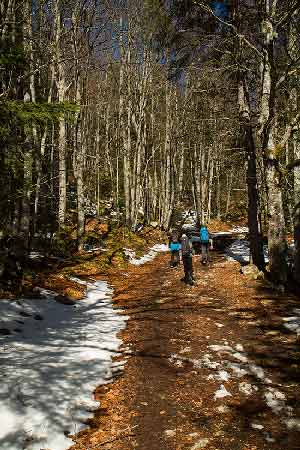 randonnée-avec-enfants-Plateau-de-sornin