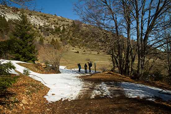 randonnée-famille-Plateau-de-sornin