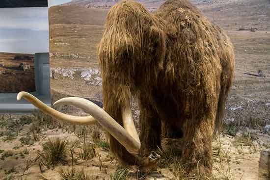 vacances-en-ardèche-en-famille