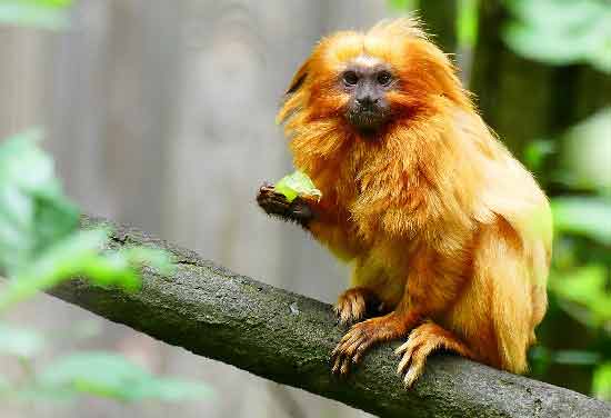 vacances-en-dordogne-en-famille