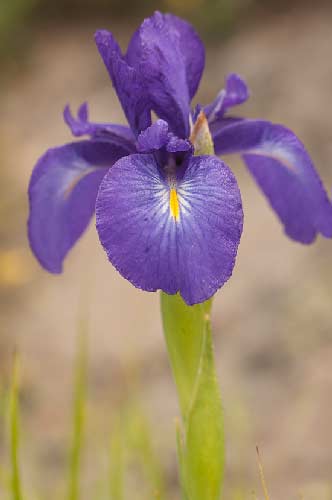 cirque-d-estaubé-randonnée