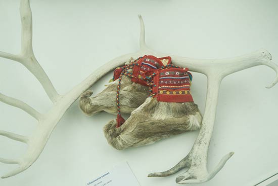 espace-des-mondes-polaires-prémanon