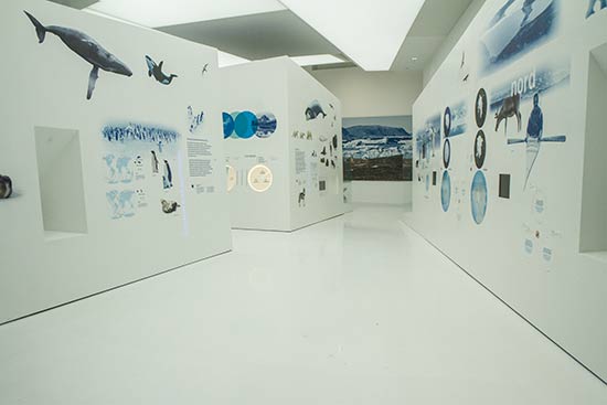 le-monde-polaire-premanon