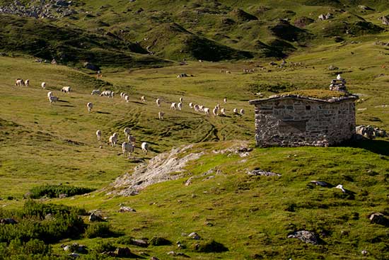 randonnée-troumouse