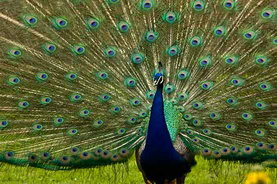 road-trip-pyrénées-en-famille