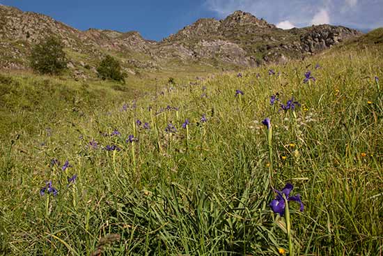 vers-lac-de-cestrede-rando