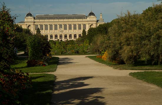 jardin-des-plantes-serres