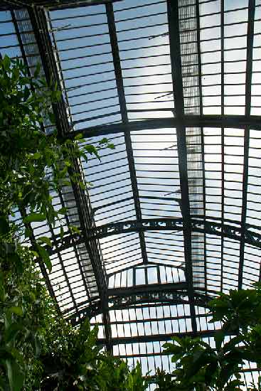 les-serres-du-jardin-des-plantes