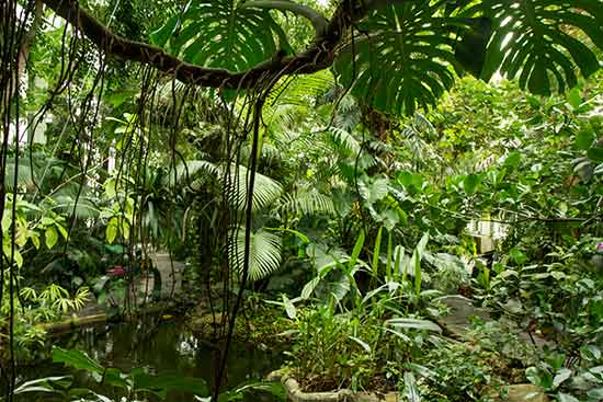  jardin des plantes -avec-des-enfants