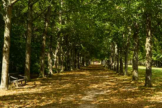 versailles-avec-des-enfants-jardins