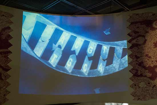 visite-cité-des-sciences-la-villette