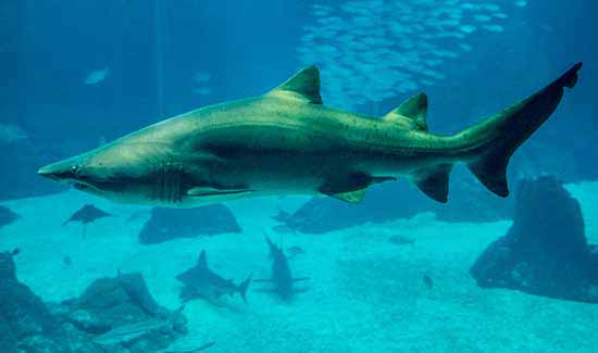 vacances-portugal-en-famille