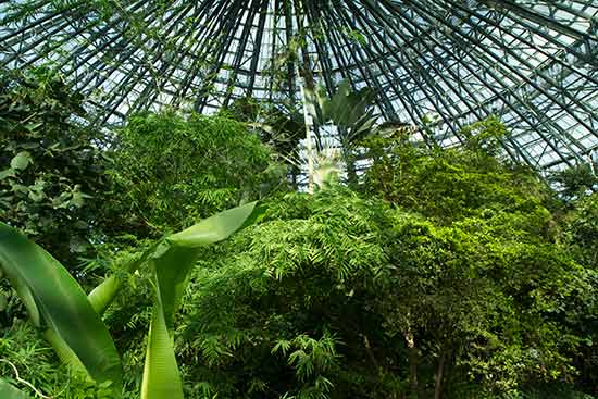 zoo-de-beauval-preparer-sa-visite