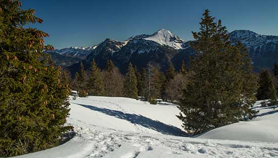 Rando-raquettes-Margeriaz-alpes