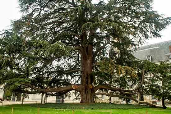 activite-enfant-tours